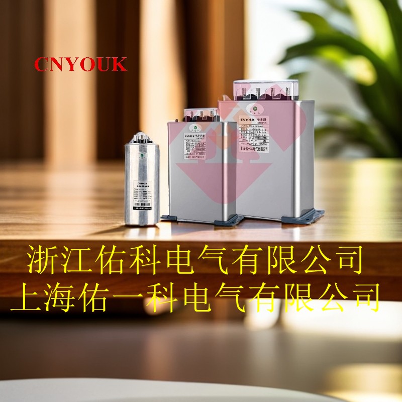 自愈式并联电容器